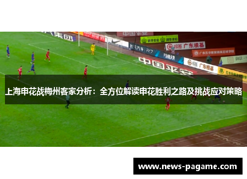 上海申花战梅州客家分析：全方位解读申花胜利之路及挑战应对策略