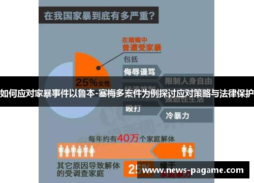 如何应对家暴事件以鲁本-塞梅多案件为例探讨应对策略与法律保护