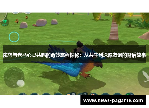 魔鸟与老马心灵共鸣的奇妙旅程探秘:从共生到深厚友谊的背后故事 魔鸟与老马心灵共鸣的奇妙旅程探秘:从共生到深厚友谊的背后故事