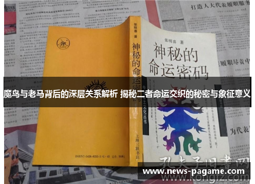 魔鸟与老马背后的深层关系解析 揭秘二者命运交织的秘密与象征意义