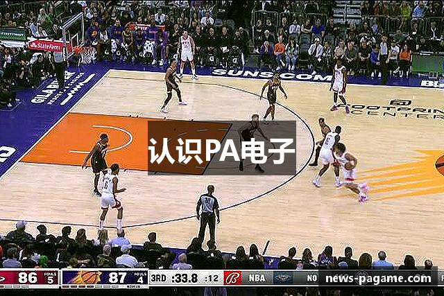 认识PA电子